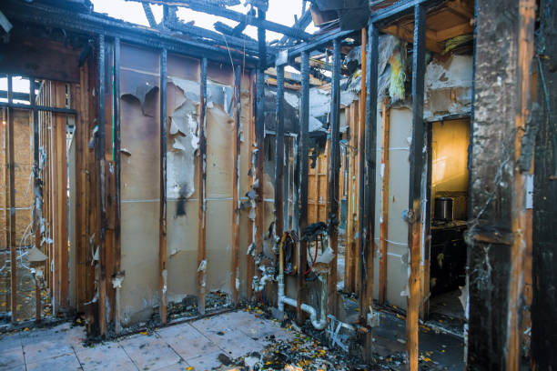 Professional Fire Damage Removal technician working in Rosemont, PA